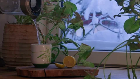 Close-up of a cup of tea as hot water is being poured in a cozy winter interior. Stock Footage 328117971