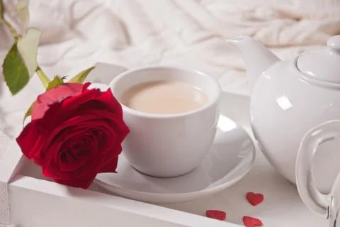 Close up of cup of tea with red rose on the white tray Photos
