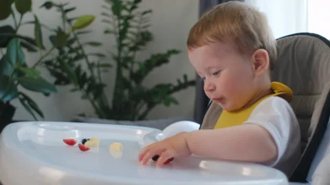 Close up of curious little boy in high chair eats strawberries appetizingly Stock Footage 280177967