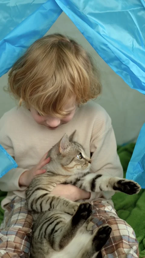 Close up curly boy hugging cat Stock Footage 303074066