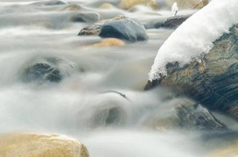 Close-up of the current between the stones of a mountain stream, photograp... Foto stock