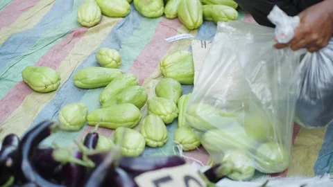 Close-Up of Customer Choosing Fresh Chayote and Putting It in Plastic Bag Stock Footage 341535194