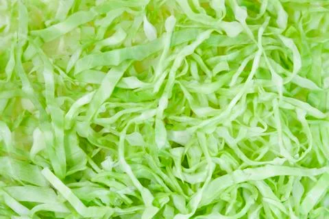 Close-up of a cut green cabbage Stock Photos