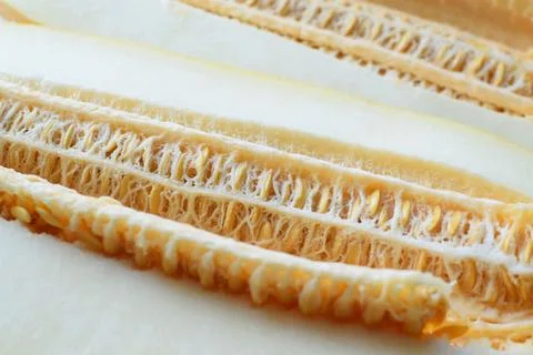 Close-up of a cut melon with seeds Stock Photos