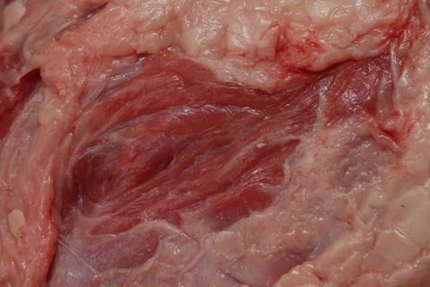 Close up of a cut of reed beef Stock Photos