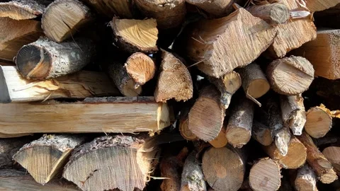 Close up cut timber Stock-Footage 231510911