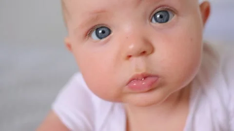 Close up of cute baby looking at camera, studying world Vídeo Stock 157776351