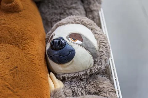 Close-up of a cute fluffy sloth plush toy on a store shelf. Stock-Fotos