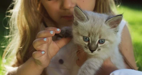 Close up of the cute small kitty in hugs of little pretty girl in the park on a Stock Footage 98089468