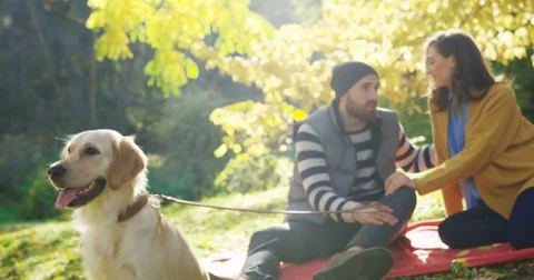 Close up of the cute white labrador on the leash. Young lovely couple sitting Stock Footage 82515029