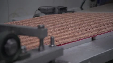 Close up of cutted nut material on nut bar making machine conveyor 動画素材 163713704