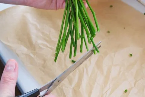 Close up cutting flower stems with scissors Stock Photos