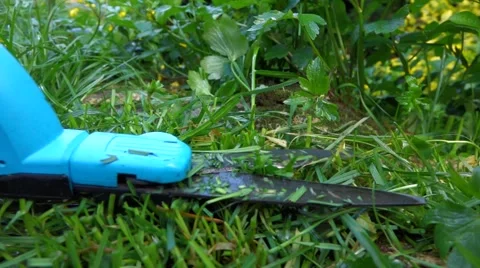 Close-up of cutting grass with a hand grass shears in a garden Video stock 46714523