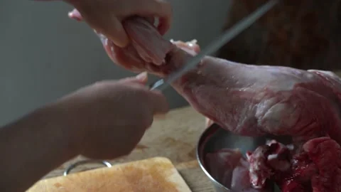 Close up of cutting rabbit carcass at home 4k Stock Footage 131037123