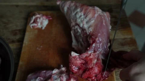 Close up of cutting rabbit carcass at home 4k Stock Footage 131037182