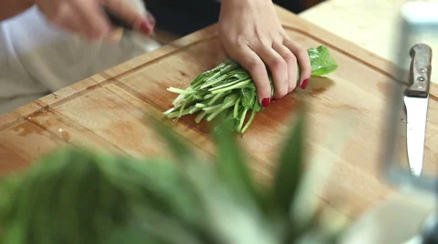 Close-up of cutting spinach Stock Footage 59541540