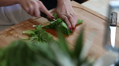 Close-up of cutting spinach Stock Footage 59541544