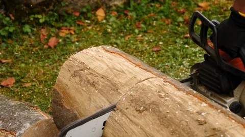 Close up of cutting through wood with chainsaw 動画素材 96003204