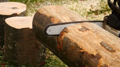 Close up of cutting through wood with chainsaw 動画素材 96004233