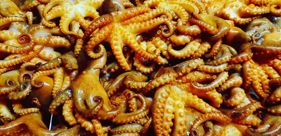 Close up cuttlefish, squid or octopus for grilled at seafood restaurant Stock Photos