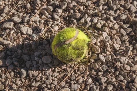Close Up of a Damaged, Dirty and Worn Tennis Ball on the gravel Stock Photos