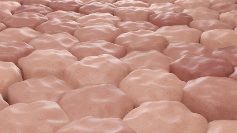 Close-up of Damaged Skin Cells Texture Stock Footage 276880361