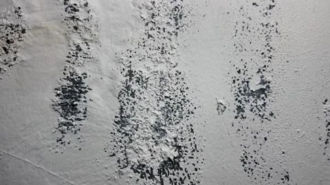 Close Up of Damaged Wall with Bubbling Paint and Mold Stock Footage 335190365