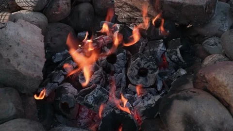 Close-up of dancing flames of a small burning bonfire on coals. local travel. 4k Stock Footage 201478291