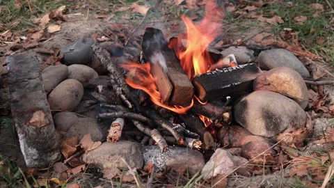 Close-up dancing flames small burning bonfire on firewood. camping concept. Stock Footage 321231422