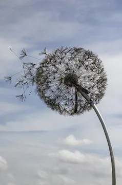 Close up of dandelion sculpture isolated from background  with copy space Stock Photos