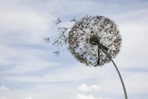 Close up of dandelion sculpture isolated from background  with copy space Stock Photos