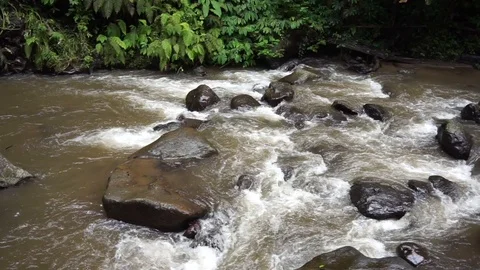 Close up of danger mountain river Stock Footage 110733405