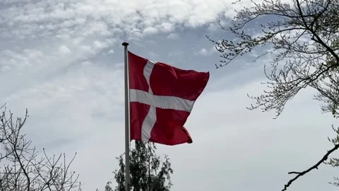 Close-up of a Danish flag blowing in the wind, red and white denmark flag is blo Stock Footage 310964021