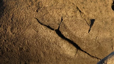 Close-up of the dappled light effect on a rock. Sunset tones Stock Footage 289554280