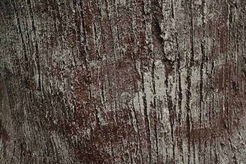 Close-up of dark brown bark texture Stock-Fotos