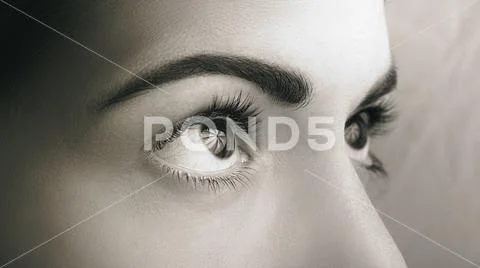 Close up dark eyes with natural makeup looking at the side, macro shot. Stock Photos