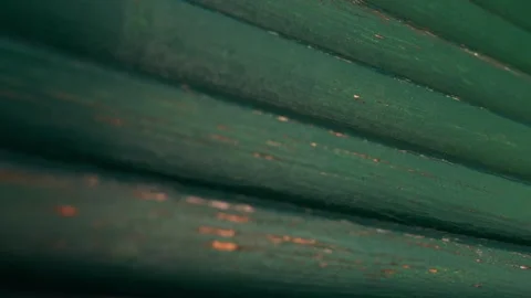 Close Up of Dark Green Shutter Pattern with Downward Motion – 4K Stock Footage 311072765
