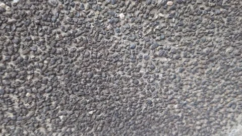 Close-up of Dark Grey Pebble Wash Texture Surface Stock Footage 329213276