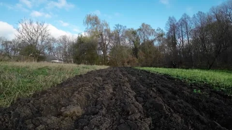 Close-up of dark plowed soil with winter trees and blue sky backdrop Stock Footage 304424844