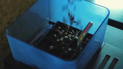 A close-up of dark roasted coffee beans falling into a coffee machine's Stock Footage 346471897