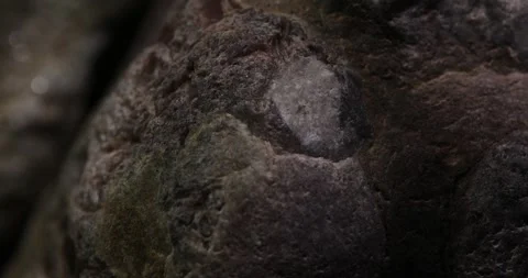 Close-up of Dark Rock Surface with Intricate Textures Stock Footage 289724473