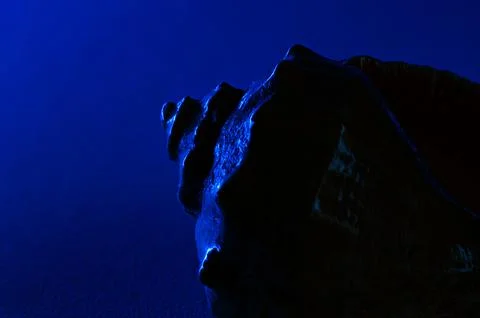 Close Up of Dark Shell Illuminated by Blue Light on Smooth Surface Fotos Stock