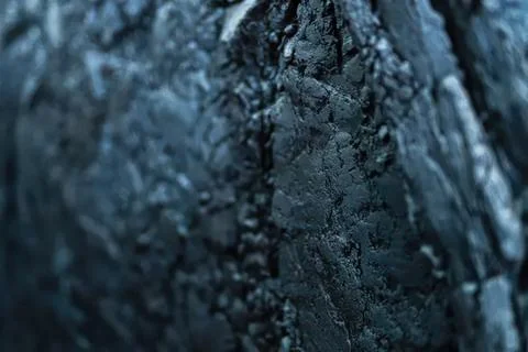 Close-up of dark textured bark on tree trunk Stock Photos