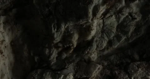 Close-Up of Dark Textured Rock Surface Stock Footage 291269039