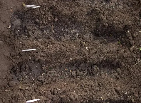Close-up of dark, textured soil with small rocks and cracks Stock Photos