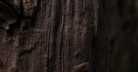 Close-Up of Dark Wood Texture with Deep Grooves Stock Footage 287878750