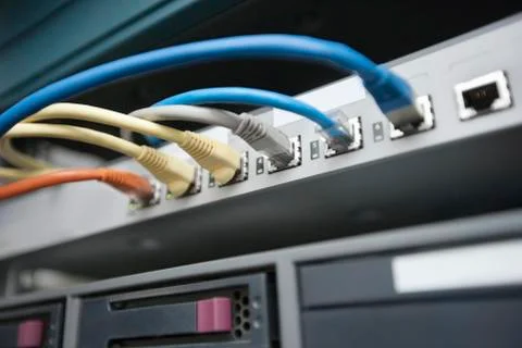 Close-up of data cable plug connected to servers in computer lab Foto stock