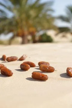Close-Up of Dates on Desert Sand Stockfoto's