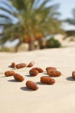 Close-Up of Dates on Desert Sand 스톡 사진