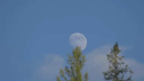 Close up in the daytime blue sky with clouds and a rising moon Stock Footage 126991616